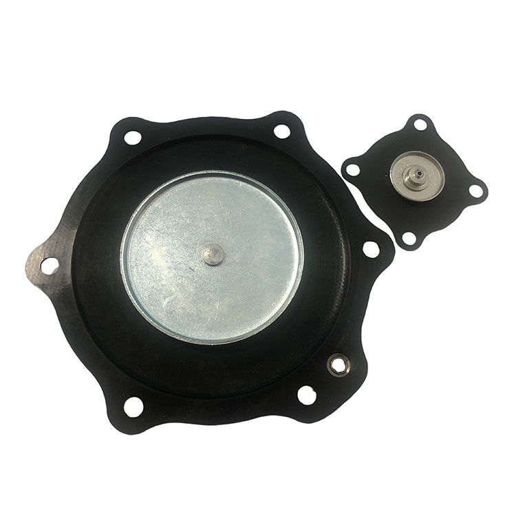 2 Inch Diaphragma Repair Kit